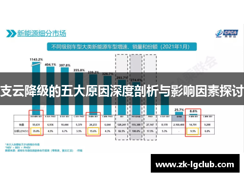 支云降级的五大原因深度剖析与影响因素探讨