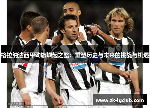 格拉纳达西甲劲旅崛起之路:重塑历史与未来的挑战与机遇 格拉纳达西甲劲旅崛起之路:重塑历史与未来的挑战与机遇