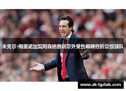 米克尔·梅里诺加盟阿森纳首训意外受伤肩膀骨折震惊球队 米克尔·梅里诺加盟阿森纳首训意外受伤肩膀骨折震惊球队