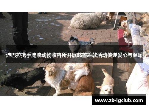 迪巴拉携手流浪动物收容所开展慈善筹款活动传递爱心与温暖